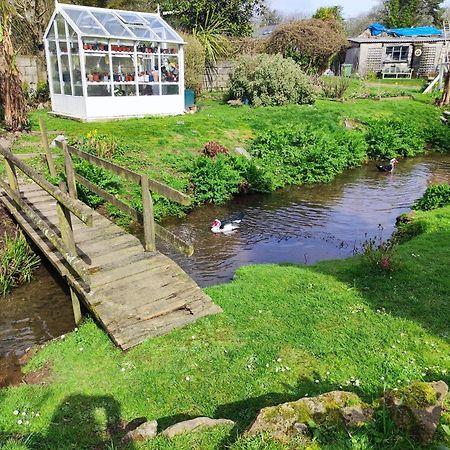 Tree Fern Barn Villa St Austell Bagian luar foto