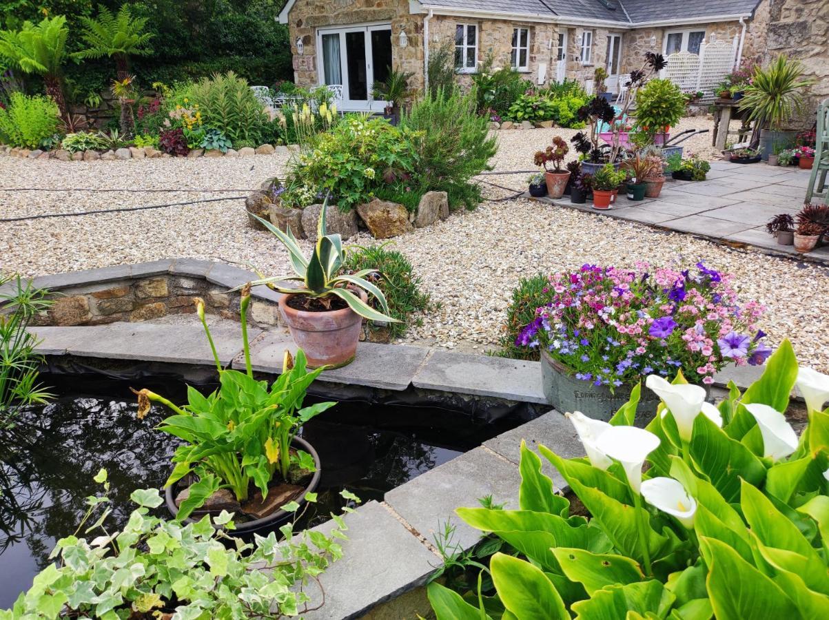 Tree Fern Barn Villa St Austell Bagian luar foto